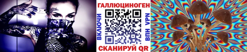 Псилоцибиновые грибы Cubensis Карпинск